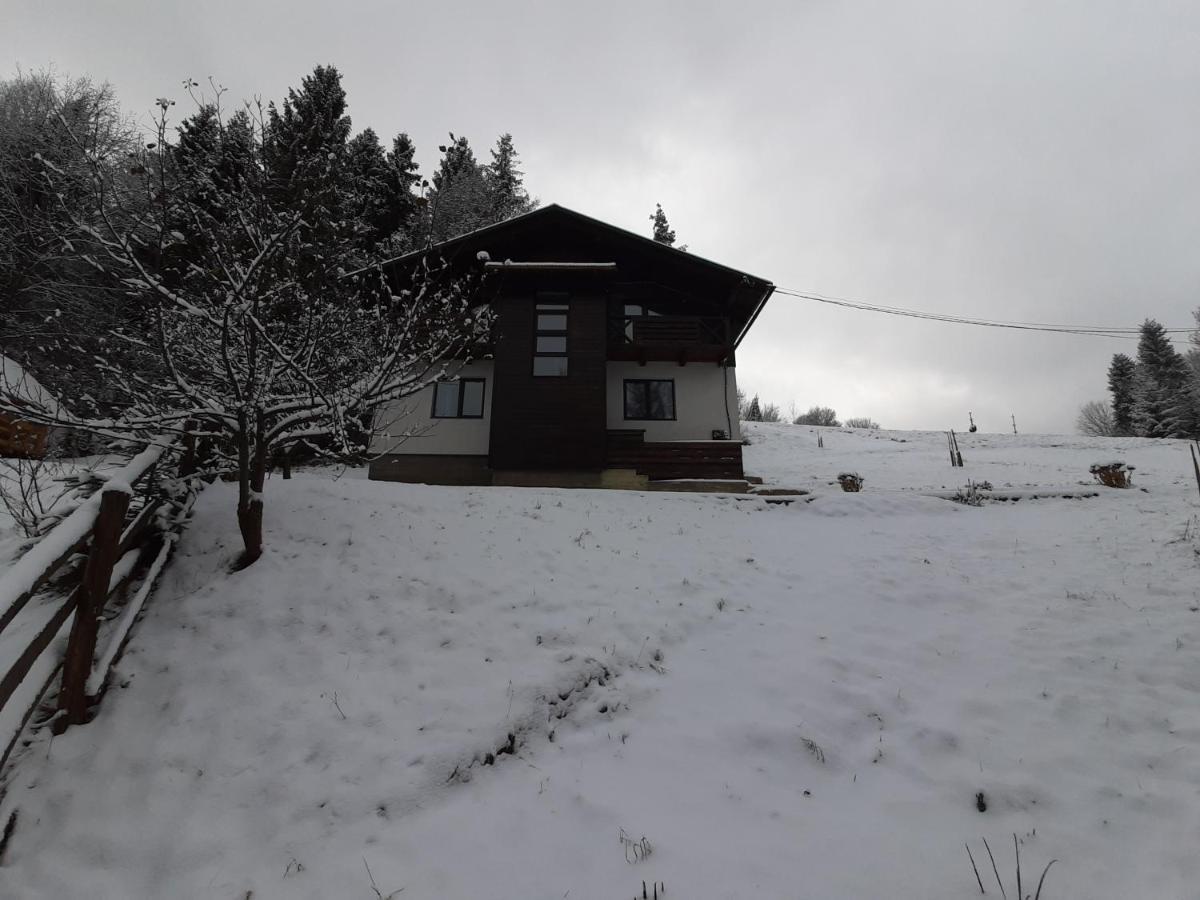 Під Боржавою Pilipets Exterior photo