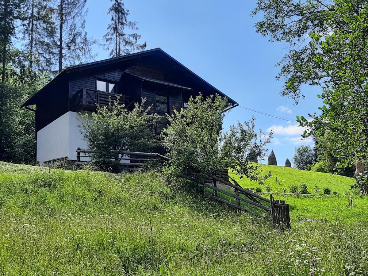 Під Боржавою Pilipets Exterior photo